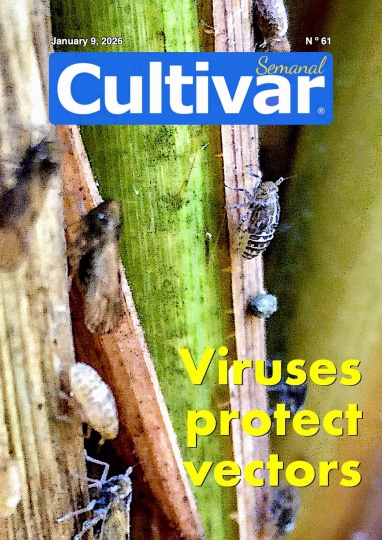 Cultiver chaque semaine 61