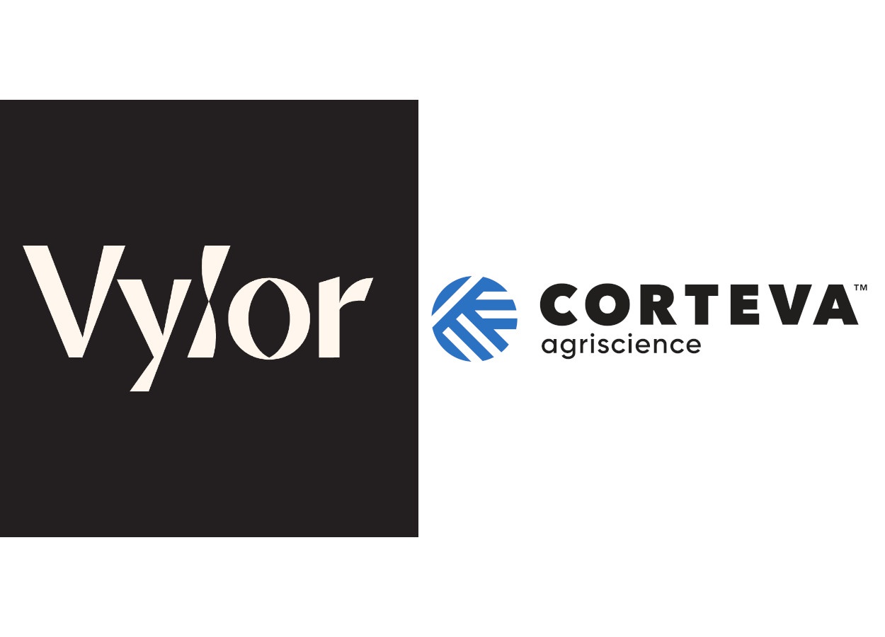 Vylor terá foco em sementes e genética; nova Corteva atuará em proteção de cultivos