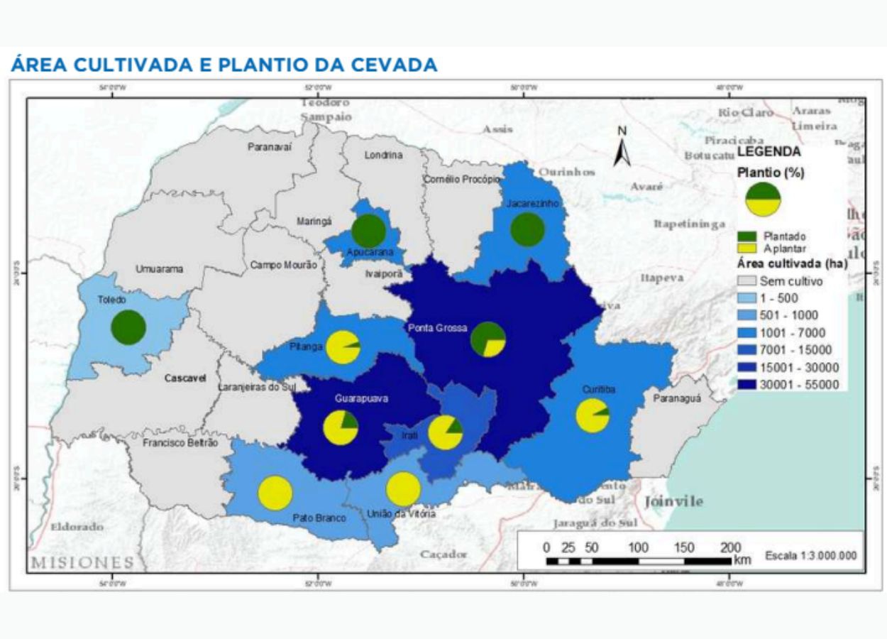 PR Safra 2025/26: plantio de inverno avança no campo