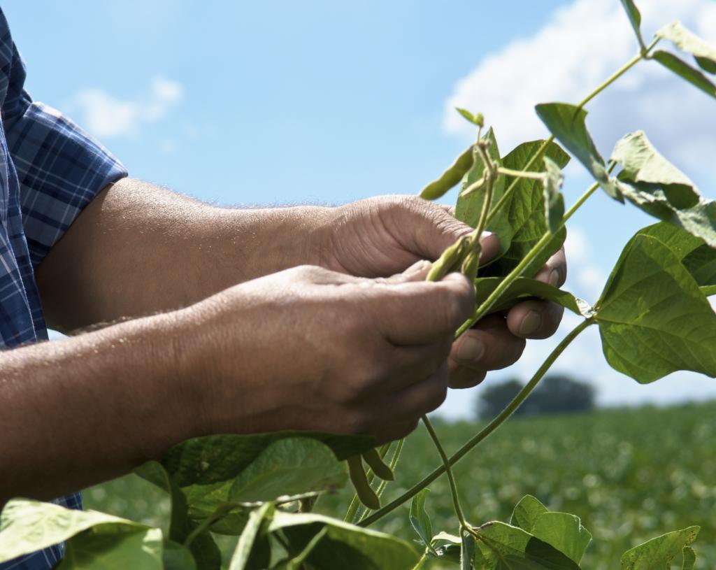 Especial Expodireto: Na feira, Bayer expõe pela primeira vez portfólio integrado para o manejo no campo