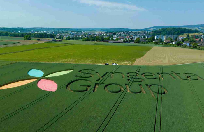 Syngenta Group anuncia números do primeiro semestre de 2026