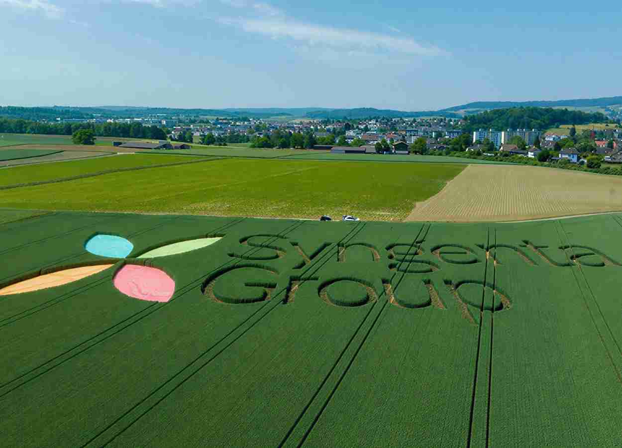 Syngenta Group anuncia números do primeiro semestre de 2026