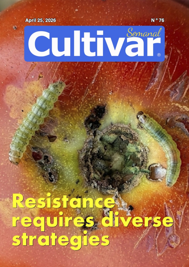 Cultivar Semanal 76