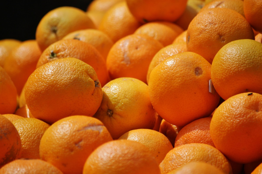 Leilões oferecem apoio ao escoamento de mais 5 mil t de laranja gaúcha