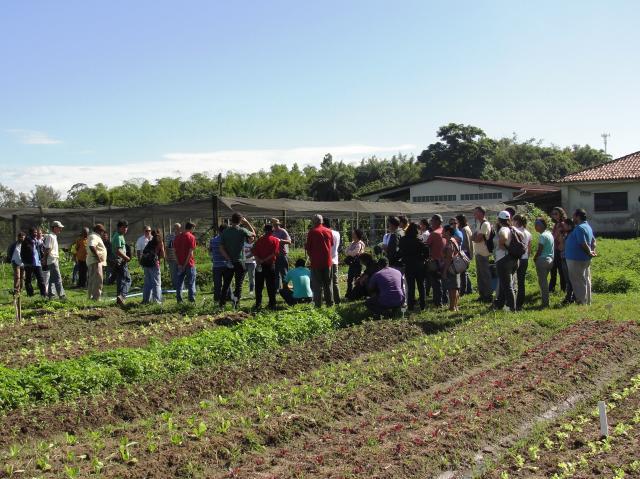 Abertas inscrições para o Prêmio BNDES de Boas Práticas para Sistemas Agrícolas Tradicionais