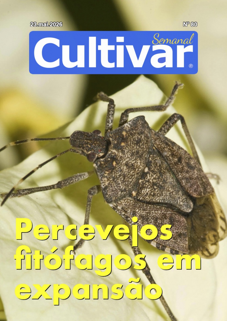 Cultivar Semanal 80