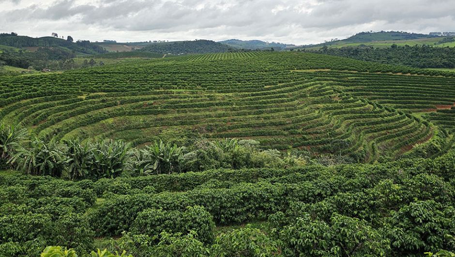 Fotos: Taya Parreiras