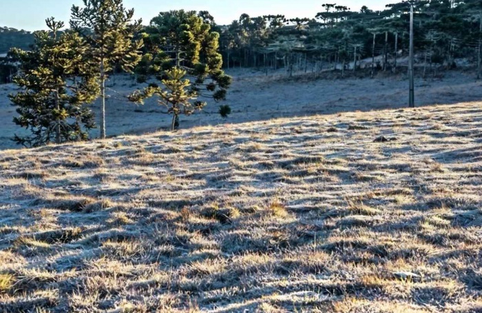 RS terá fim de semana marcado pelo frio e possíveis geadas