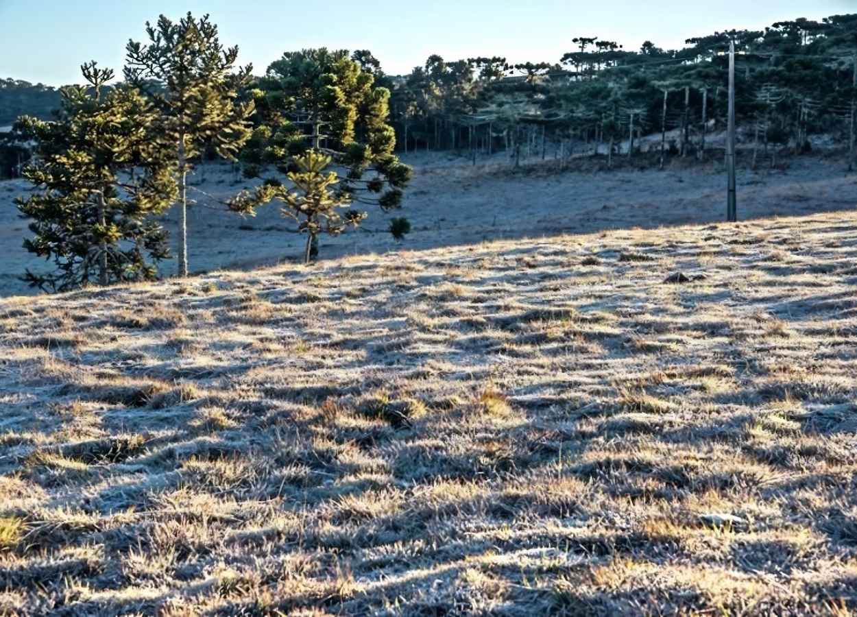 RS terá fim de semana marcado pelo frio e possíveis geadas