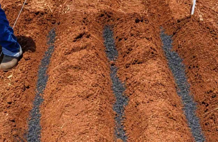 Resíduo agroindustrial ganha uso como fertilizante