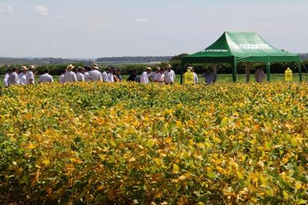 Coodetec reúne produtores e profissionais agrícolas em Rio Verde/GO