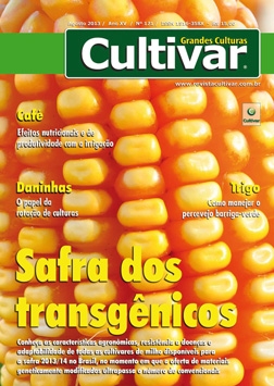 Safra dos transgênicos