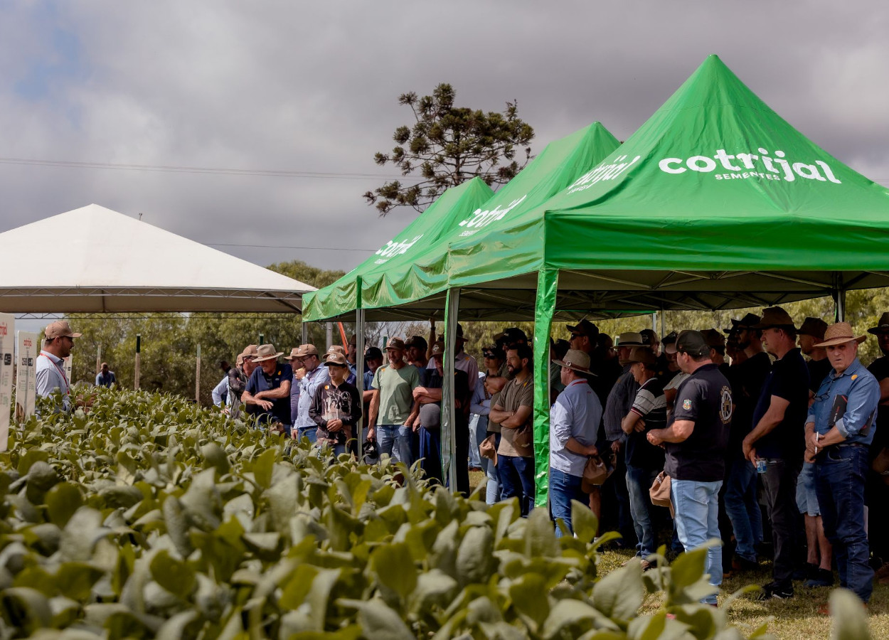 Foto: Leandro Bordin
