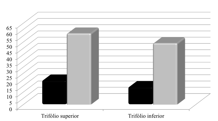 Figura 6 – Concentração de triazol (preto) e estrobilurina (cinza) em diferentes idades de trifólios de soja.