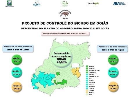 Algodão alcança 77,28% da área prevista para plantio em Goiás