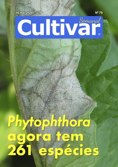 Cultivar Semanal 79