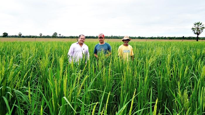 Dias de campo abordam integração de cultivos no Maranhão
