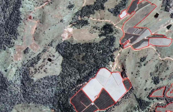 Mapeamento mostra aumento dos pomares de maçã na Serra de SC