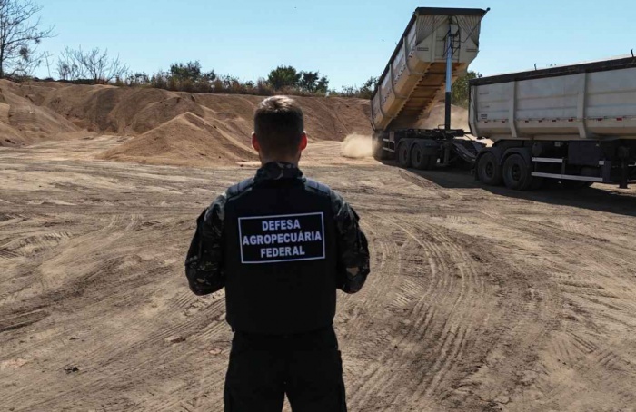 Soja contaminada é transformada em adubo orgânico