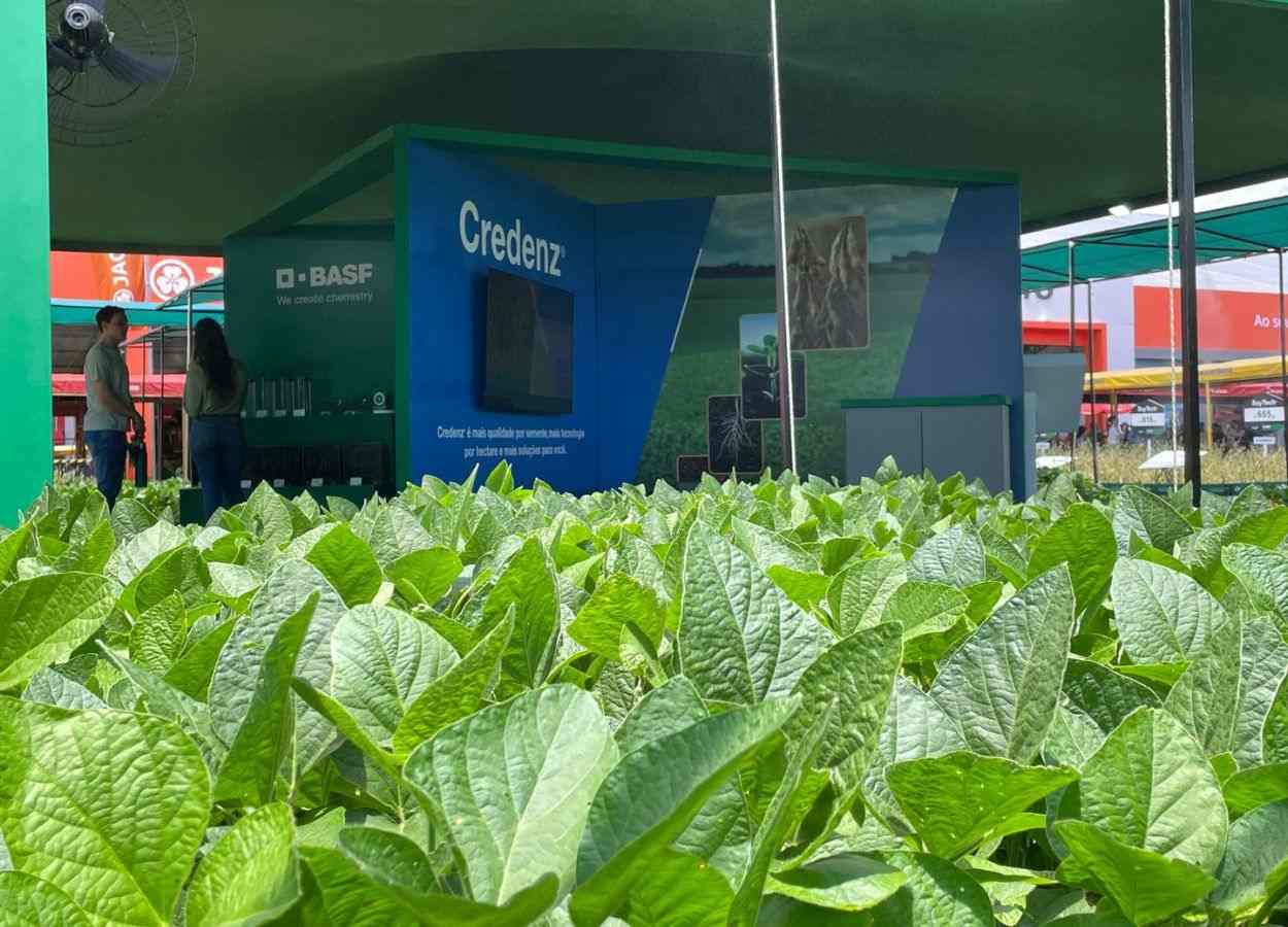 BASF destaca soluções para soja e milho no Show Rural 2026