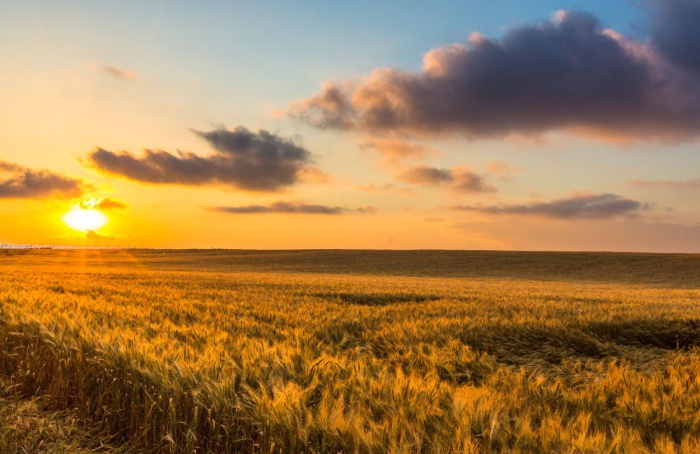 La Niña deve chegar ao Rio Grande do Sul no fim do inverno e início da primavera