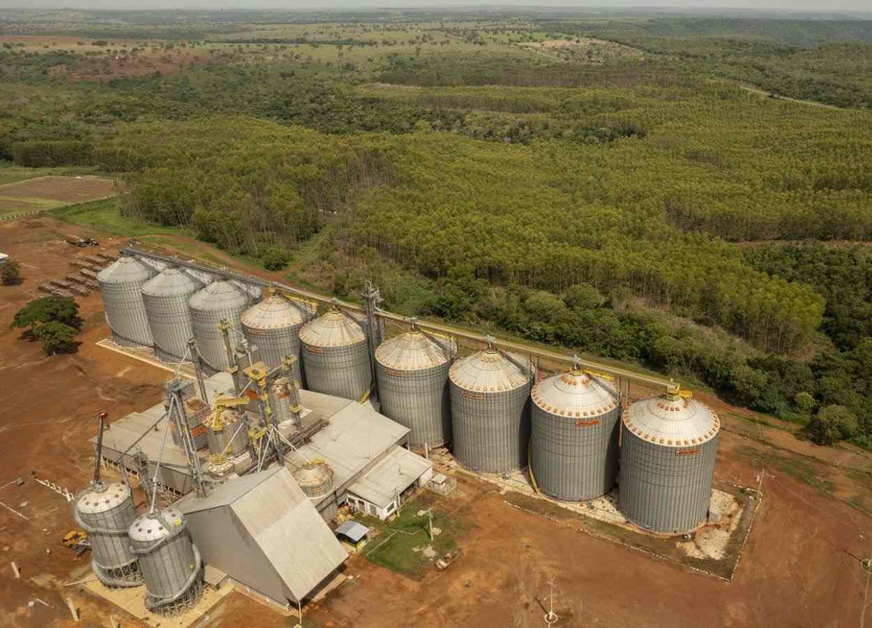 Frísia deve investir R$ 100 milhões em novo entreposto no TO