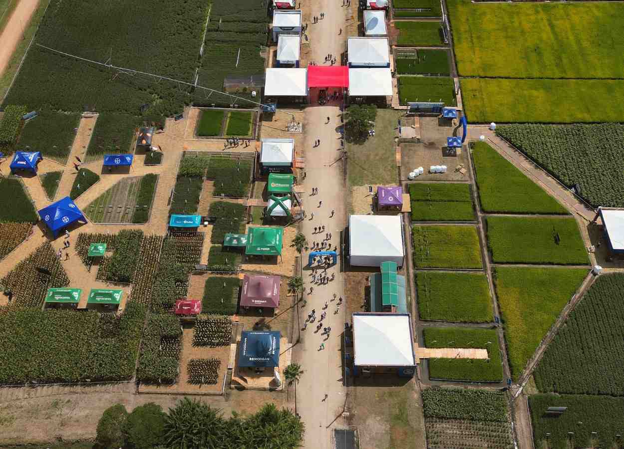 L'ouverture de la récolte du riz met en lumière des démonstrations technologiques.