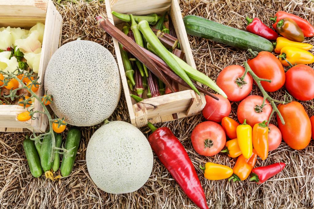 Isla Sementes reúne influenciadores e chefs em encontro que estimula alimentação saudável