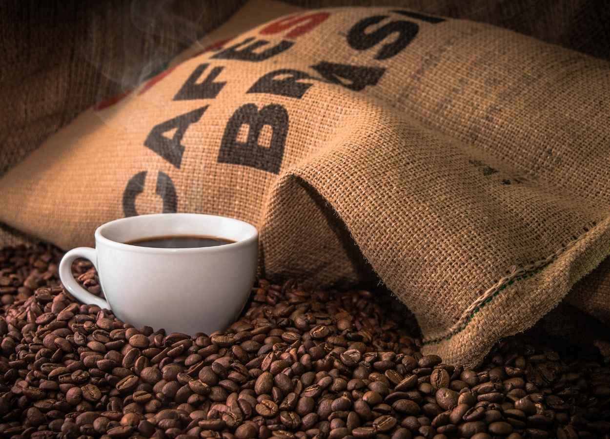 Brasil exporta 3,9 milhões de sacas de café em setembro