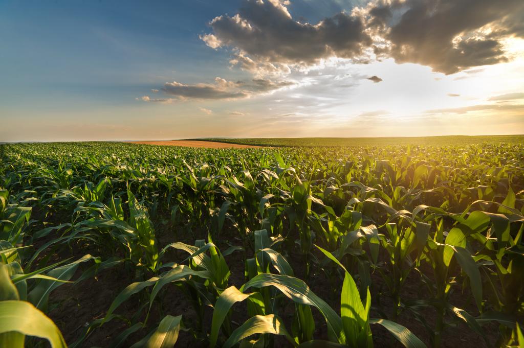 Solução em recobrimento será novidade da Ubyfol na Fertilizer Latino Americano