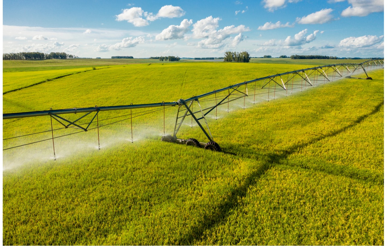 Tecnologia ajuda produtor a otimizar o uso dos insumos e ser eficiente na irrigação