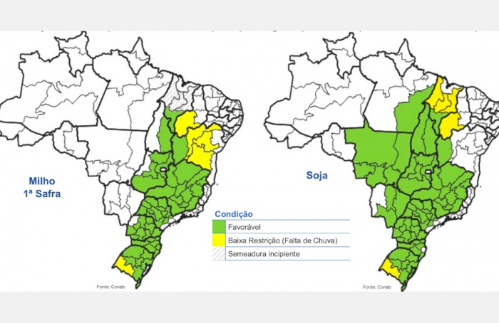 Conab: monitoramento das lavouras 30 de dezembro de 2024