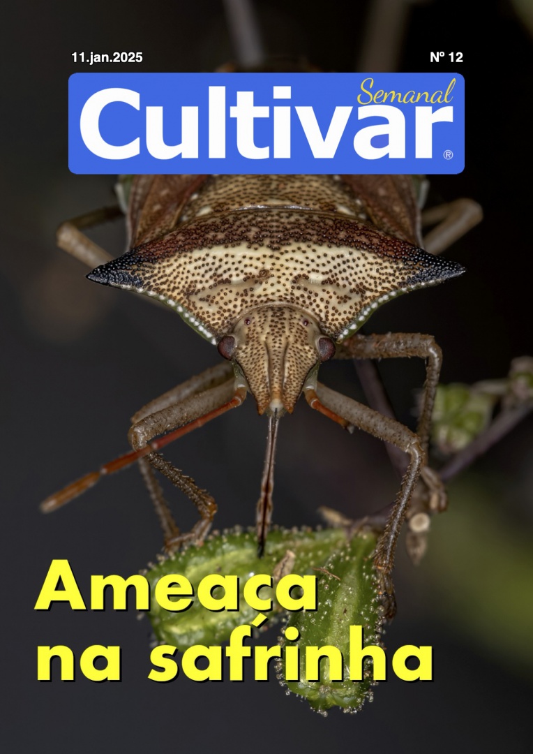 Cultivar Semanal 12