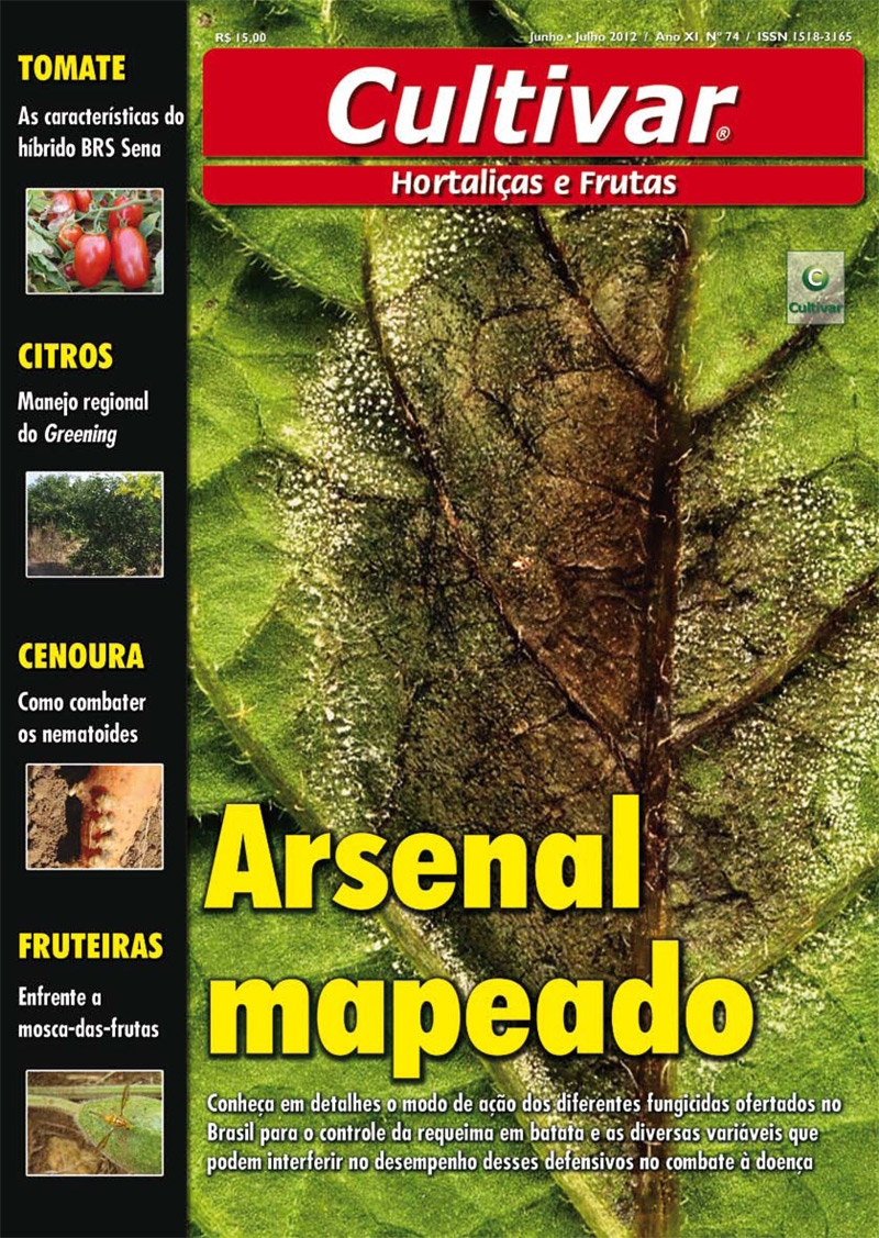 Arsenal Mapeado