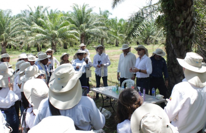 BASF e Solidaridad unem forças para fortalecer cadeia de suprimentos de óleo de palma sustentável na Colômbia