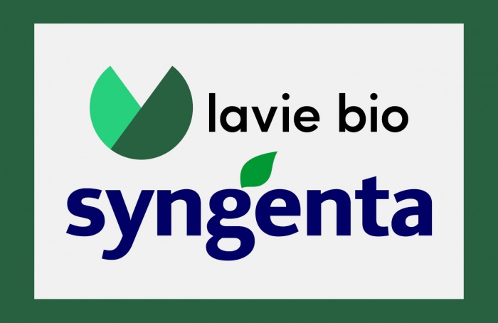 Syngenta e Lavie Bio unem-se para desenvolver soluções biológicas inseticidas