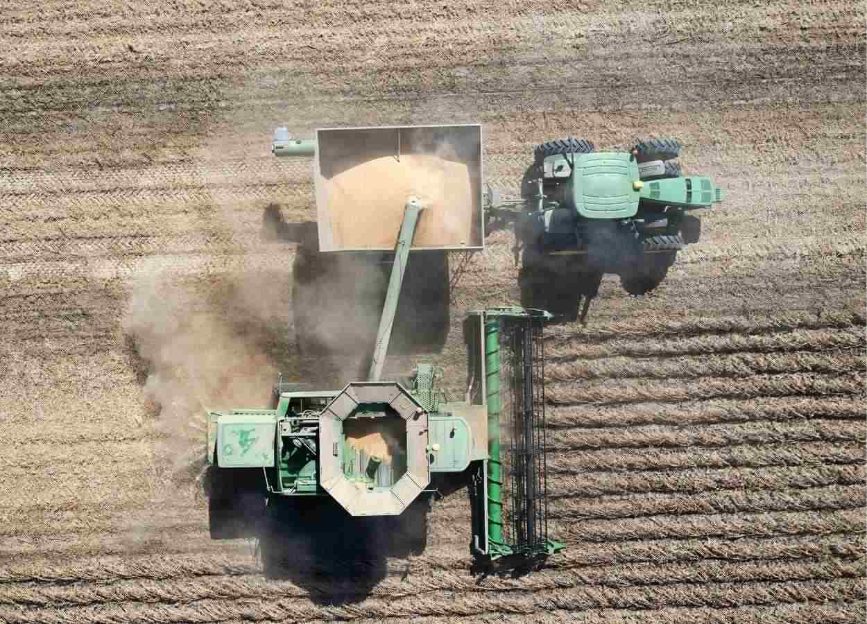 PIB agroindustrial crece 6,49% en el primer trimestre de 2025