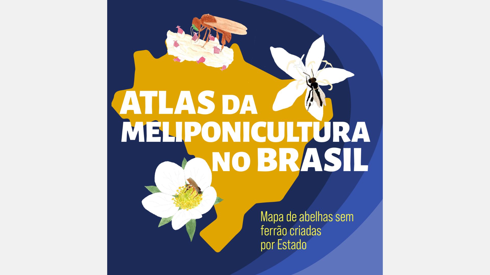 Atlas da Meliponicultura do Brasil reúne dados sobre 93 espécies de abelhas sem ferrão