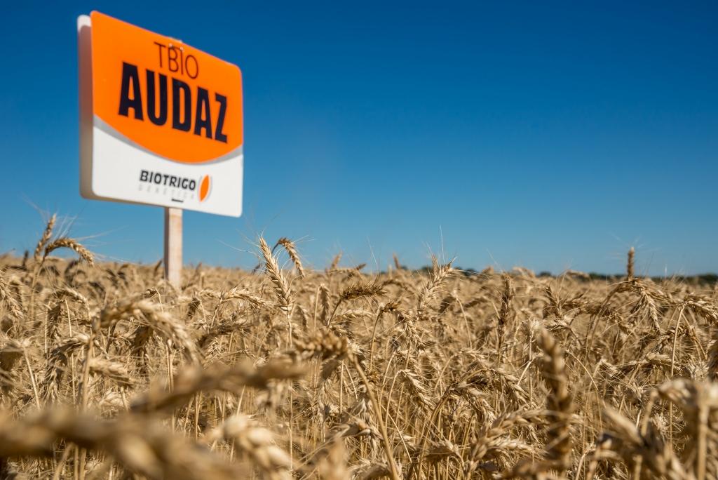 Especial Show Rural: Precocidade no inverno beneficia as culturas de verão