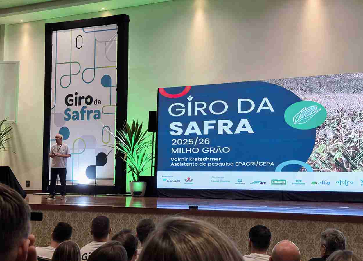 Extremo-Oeste de SC projeta 200,1 sacas de milho por hectare