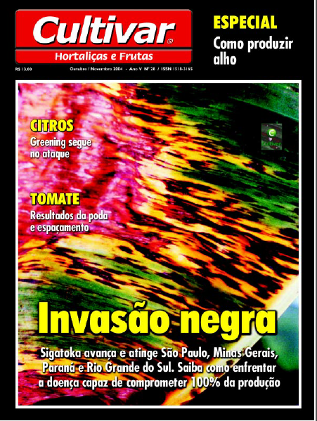 Invasão Negra