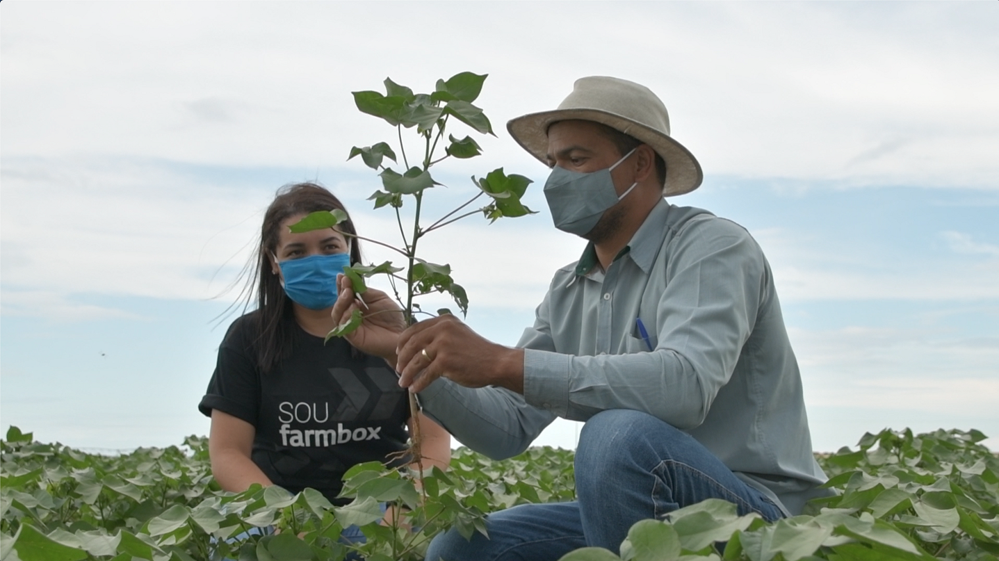 Crise de oferta de insumos agrícolas evidencia importância da agricultura de precisão e digital