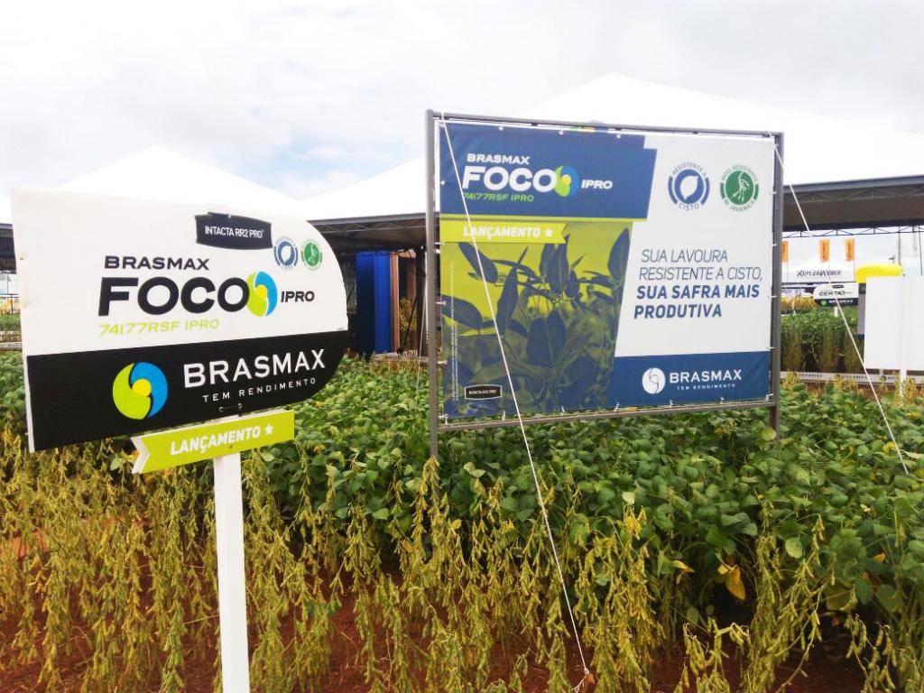 Agrobrasília: Produtividade e resistência a cisto são destaques da Brasmax