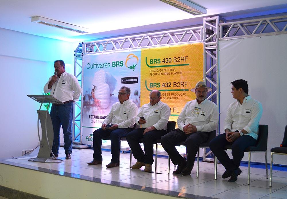 Embrapa e Fundação Bahia lançam três novas cultivares transgênicas de algodão