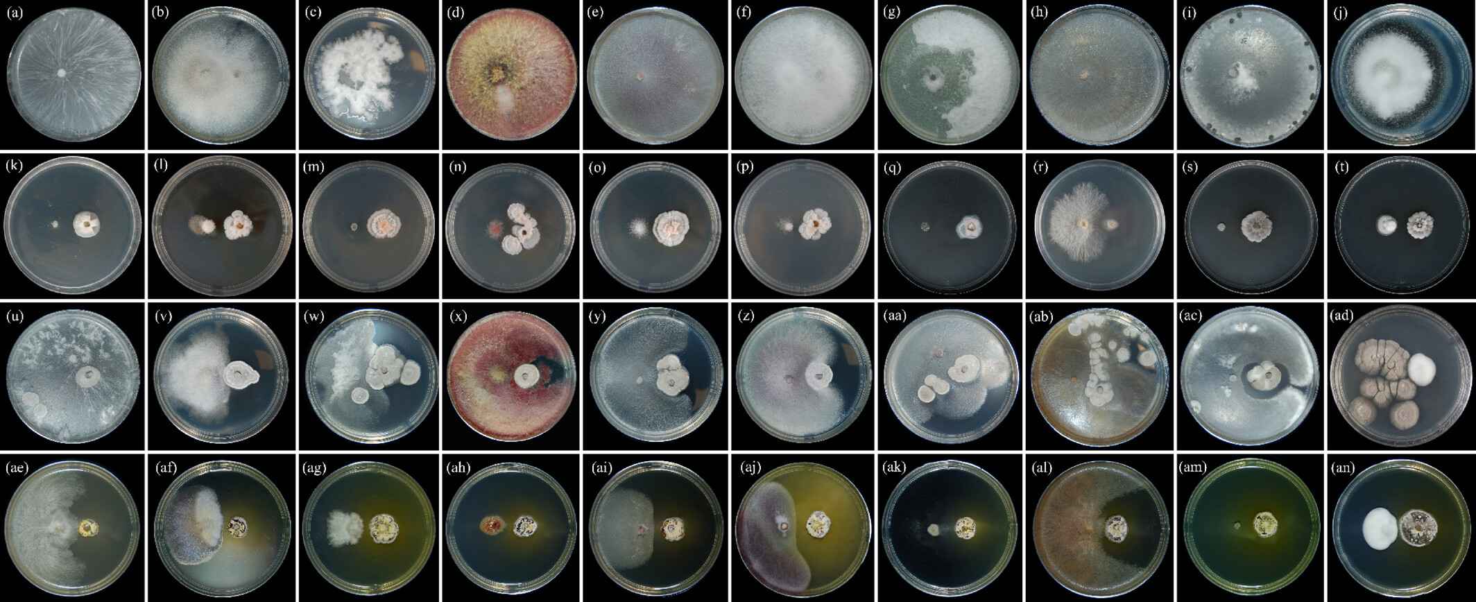 doi 10.1002/ps.71213