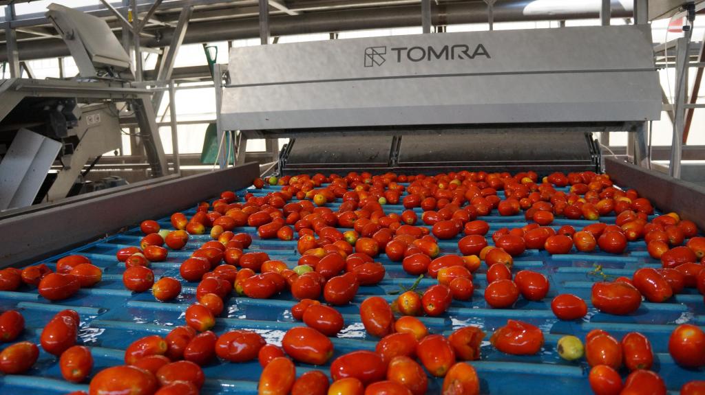 Soluções para reforçar o setor agroalimentar brasileiro