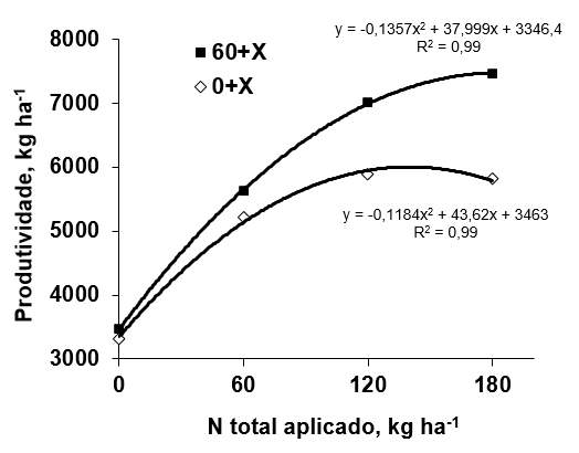 Figura 2. Resposta média dos híbridos DKB 333B e Master ao nitrogênio aplicado todo em cobertura e parcelado na semeadura (60 kg/ha) e o restante em cobertura em Votuporanga (solo textura arenosa) no sistema plantio direto. Fonte: Duarte (2003).
