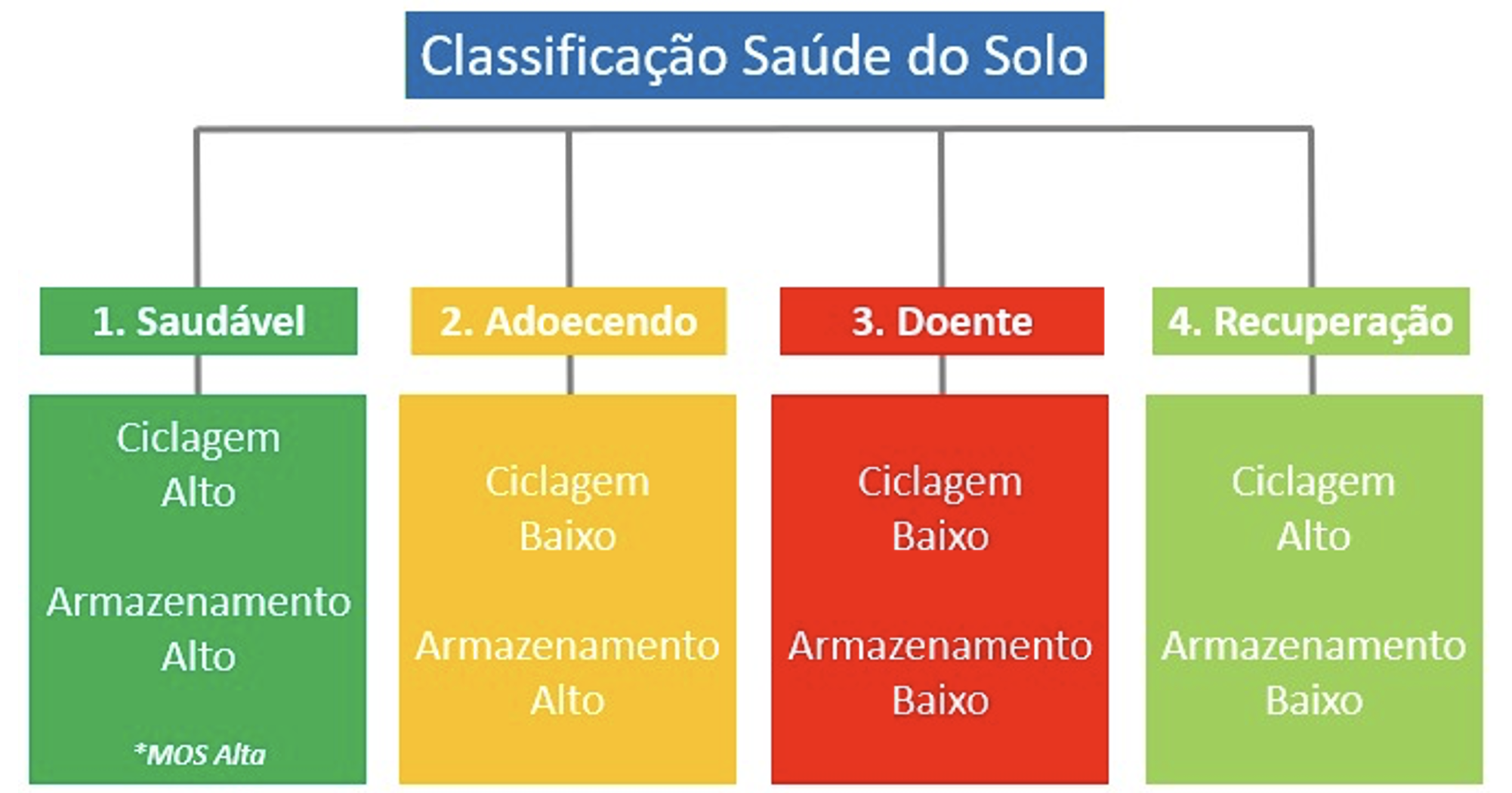 Figura 1 - classificação da saúde do solo através da tecnologia de BioAS