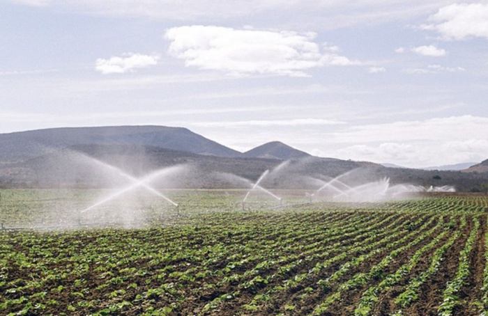 Irrigação abrange 1,7 milhão de hectares no Brasil