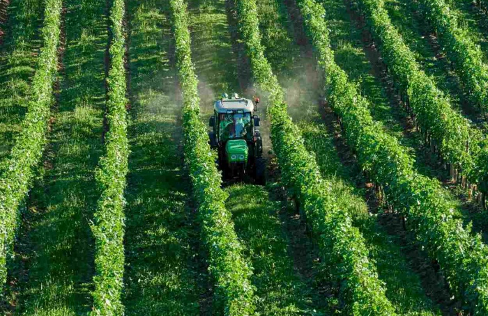 Áreas tratadas por defensivos agrícolas crescem 9,3% no primeiro semestre de 2024